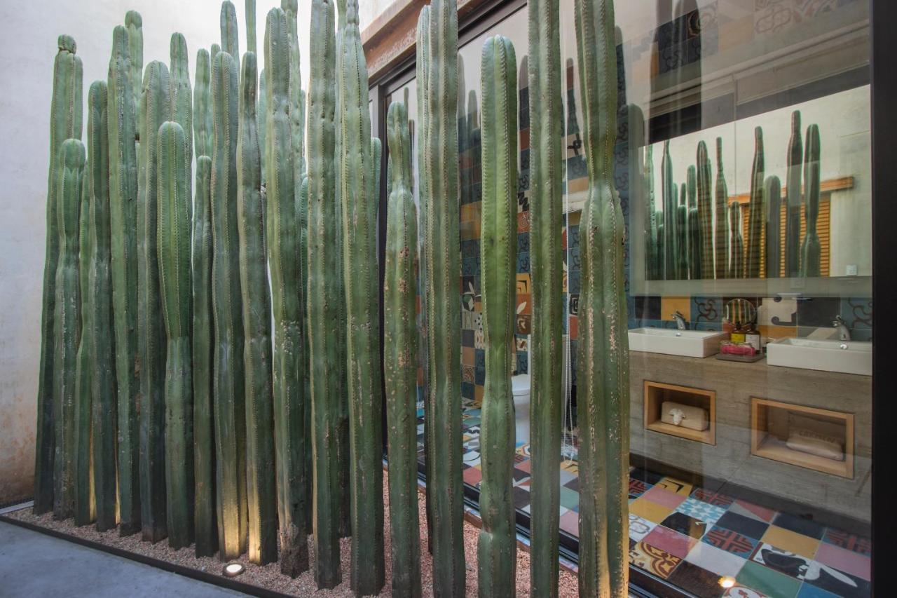 Hotel Casa Carmen Reforma Oaxaca Exteriér fotografie