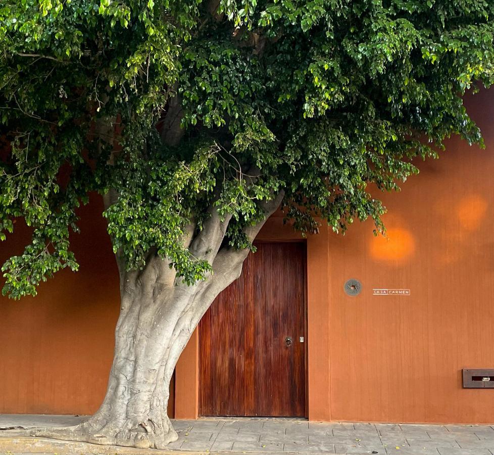 Hotel Casa Carmen Reforma Oaxaca Exteriér fotografie