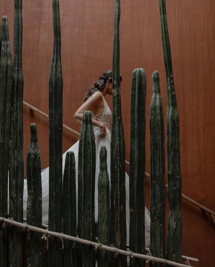 Hotel Casa Carmen Reforma Oaxaca Exteriér fotografie
