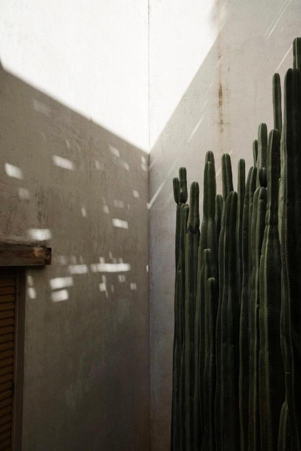Hotel Casa Carmen Reforma Oaxaca Exteriér fotografie