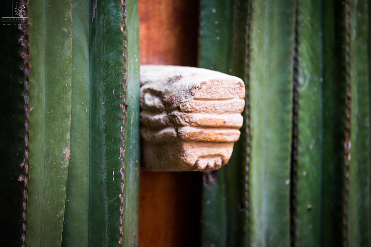 Hotel Casa Carmen Reforma Oaxaca Exteriér fotografie