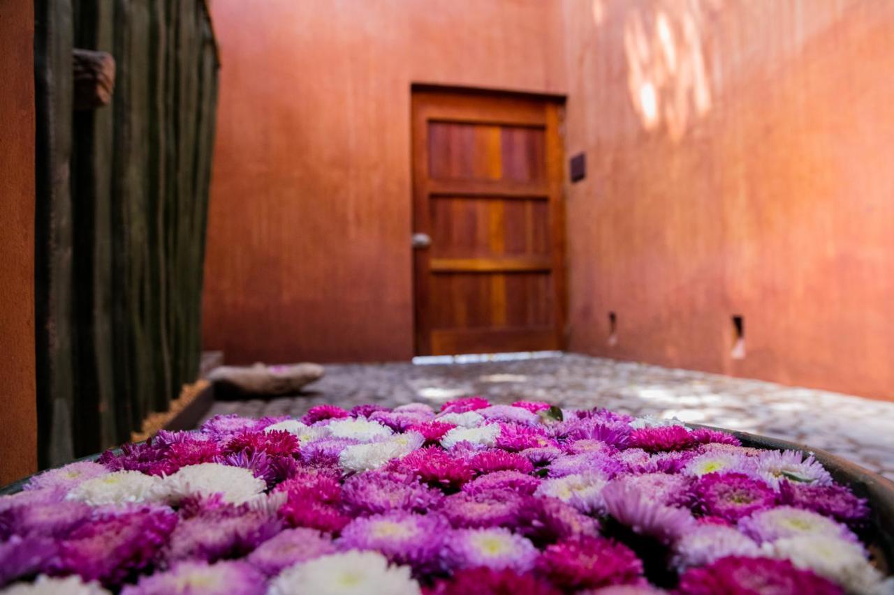 Hotel Casa Carmen Reforma Oaxaca Exteriér fotografie